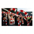 德比战现场球迷高举围巾的观赛场景