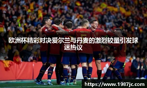 欧洲杯精彩对决爱尔兰与丹麦的激烈较量引发球迷热议